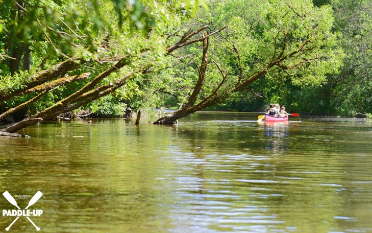 Ein Kanu fährt durch einen ruhigen, bewaldeten Fluss mit klarem Wasser.