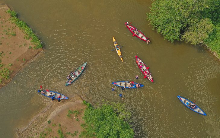Mehrere Kanus paddeln auf einem ruhigen Fluss, umgeben von grünem Uferbewuchs.